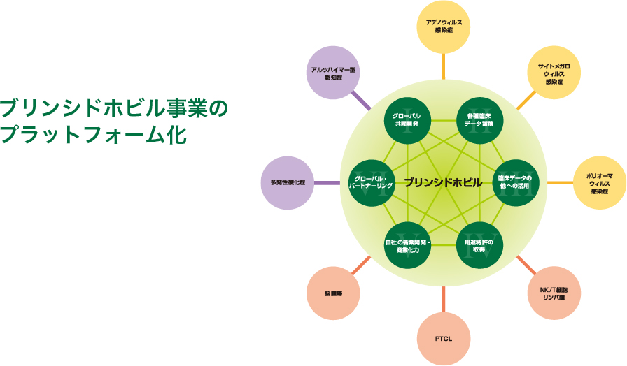 グローバルに広がる研究体制