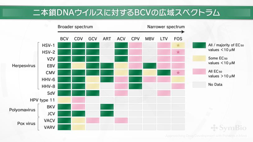 二本鎖DNAウイルスに対するBCVの広域スペクトラム